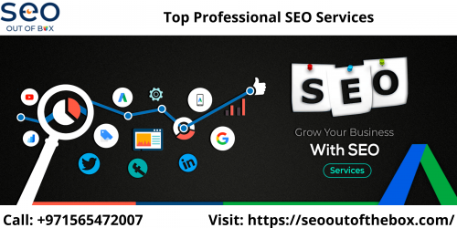 Get Professional SEO Services SEO Out Of The Box