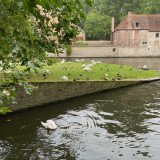 IMG_3021