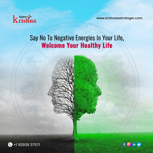 Negative Energy Removal Astrologer Krishna